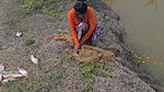 New Amazing Village Girl Fish hunting