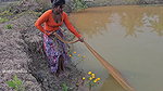 New Amazing Village Girl Fish hunting