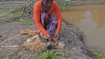 New Amazing Village Girl Fish hunting