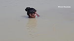 x  New Amazing Village Girl Fishing in Mud Water