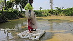 New Amazing Village Girl Net Fishing video