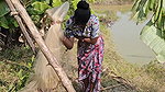 x  New Village girl traditional Net fishing