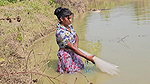 x  New Village girl traditional Net fishing