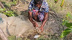 x  New Village girl traditional Net fishing