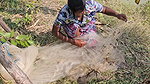 x  New Village girl traditional Net fishing