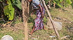 x  New Village girl traditional Net fishing