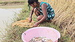 Village women net fishing video by Mouni