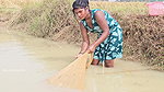 Village women net fishing video by Mouni