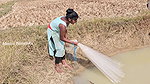 Village wife fishing video 4
