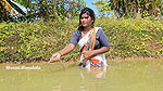 Village wife fishing video