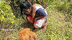 Village wife fishing video