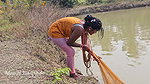Village wife fishing video 5