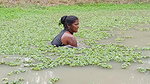 Amaxing Village women fishing Video   Best village