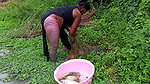 Amaxing Village women fishing Video   Best village