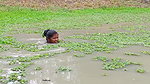 Amaxing Village women fishing Video   Best village