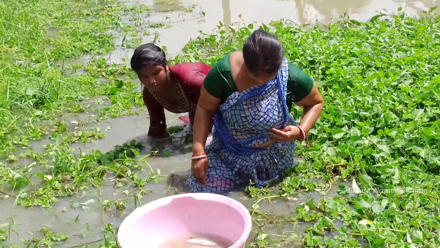 Amazing 2 Village Women Net fishing in Village Pon
