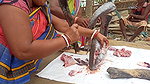 xAmazing Fish cutting skills    Village women cutti