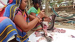 xAmazing Fish cutting skills    Village women cutti