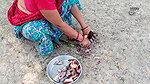 Amazing Fish Cutting Technique    Village Women cu