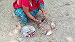 Amazing Fish Cutting Technique    Village Women cu