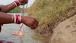 Amazing Fishing And Cooking for Villagers    Fishi