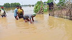 Amazing Fishing in Village Flood    Village Women