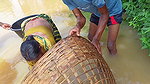 Amazing Fishing in Village Flood    Village Women