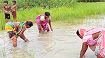 Amazing Hand Fishing by Village woman   Village wo