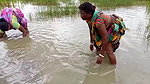 Amazing Hand Fishing by Village woman   Village wo