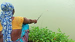 Amazing Hook Fishing in Rain    Village women fish