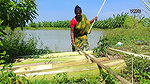 Amazing making of Banana plant Boat and fishing on