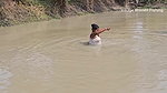 Amazing Mouni Fishing in Muddy Water    Big Carp F