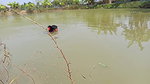 Amazing Mouni Fishing Traditional way with Casting