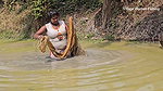 Amazing Mouni Net Fishing in Muddy Water    Big Ca