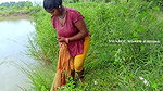 Amazing Mouni Net fishing    Village women fishing