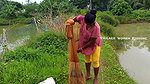 Amazing Mouni Net fishing    Village women fishing