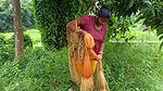 Amazing Mouni Net fishing    Village women fishing