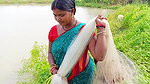 Amazing Net Casting by Village women    Best Net F