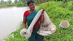 Amazing Net Casting by Village women    Best Net F
