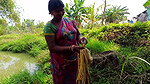 Amazing Net Fishing by Village women  Part -3