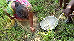 Amazing Net Fishing by Village women  Part -3