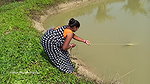 xAmazing net fishing by village women   Net Casting