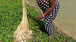 xAmazing net fishing by village women   Net Casting