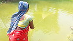 Amazing Net Fishing in Village    Women Casting Ne