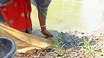 Amazing Net Fishing in Village    Women Casting Ne