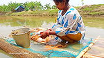 x Amazing Net fishing   Village women fishing floati