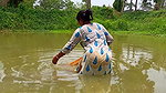 Amazing net fishing   village women fishing for Ti