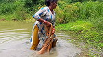 Amazing net fishing   village women fishing for Ti