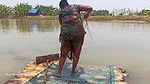 Amazing net fishing   Village women net fishing fl