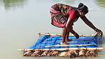 Amazing net fishing   Village women net fishing us